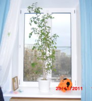CIMG0024
