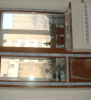 DSC05121 (2)