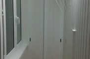 IMAG0081